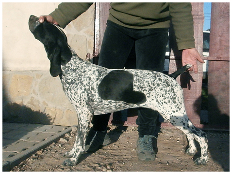 Khyannes Ile-de-france 'chantel'